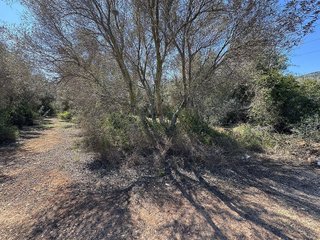 Terreno en venta en Borriol