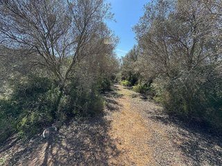 Terreno en venta en Borriol