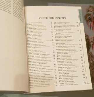 El Nuevo Libro del Arbol (Spanish Edition)