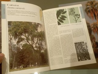 El Nuevo Libro del Arbol (Spanish Edition)