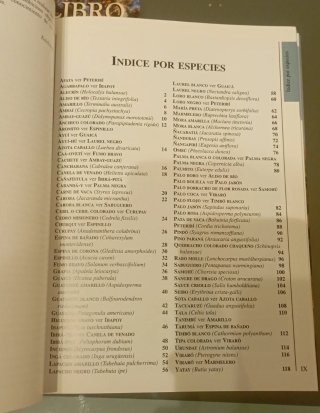 El Nuevo Libro del Arbol (Spanish Edition)