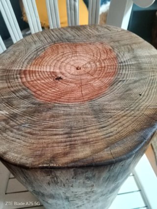 Tronco de madera artesanal