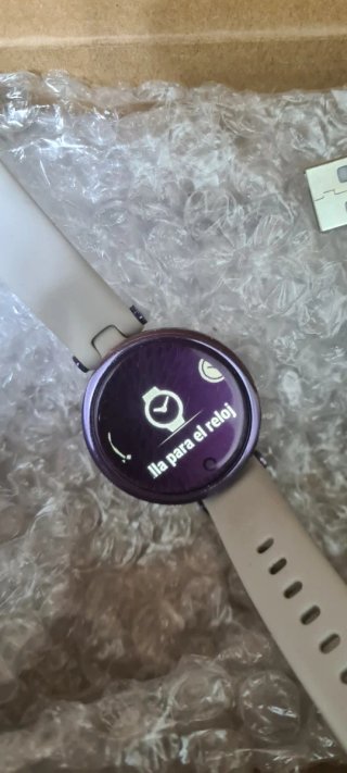 Garmin Lily GPS