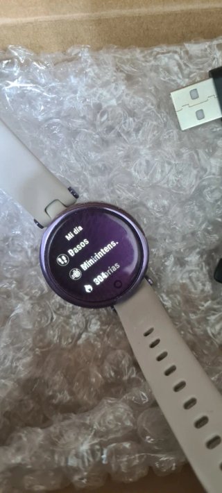 Garmin Lily GPS