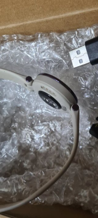 Garmin Lily GPS
