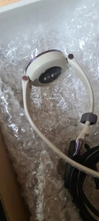 Garmin Lily GPS