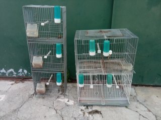 Conjunto 3 jaulas para pájaros
