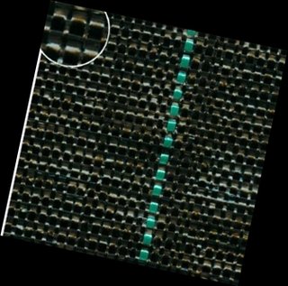Malla antihierba negra 105gr 5,25x6m