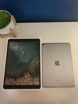 iPad Pro 10.5 256GB Gris Espacial