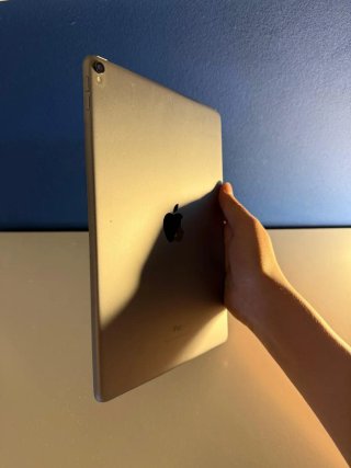 iPad Pro 10.5 256GB Gris Espacial