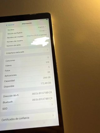 iPad Pro 10.5 256GB Gris Espacial
