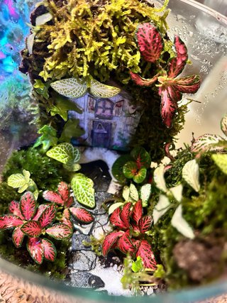 Terrario Jardín Eterno Decorativo