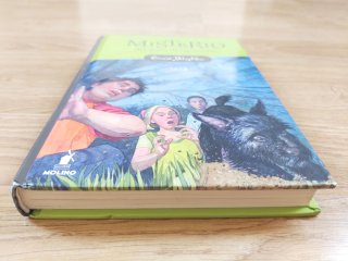 Misterio del Gato Desaparecido – Enid Blyton