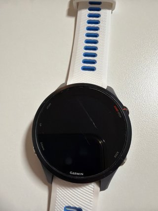 Garmin Forerunner 255 Smartwatch