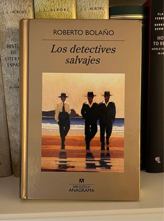 Los detectives salvajes, de Roberto Bolaño