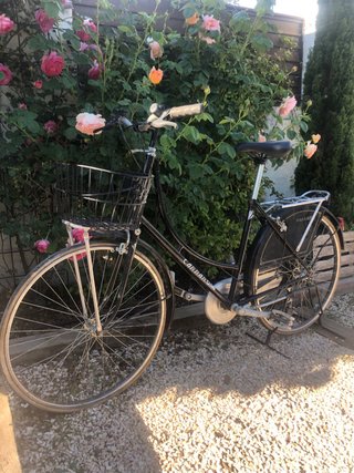 Bicicleta Carraro Negra Decorativa