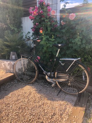 Bicicleta Carraro Negra Decorativa