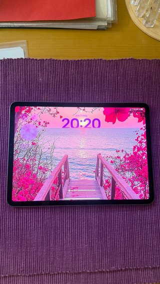 iPad Pro 11” 3ª Gen ( chip M1 )