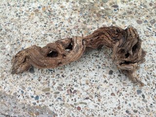 Tronco antiguo natural para terrario o pecera