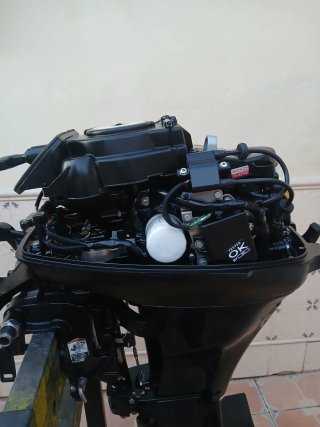 Motor fueraborda Mercury