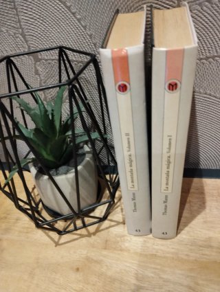 Libros La montaña mágica" de Thomas Mann