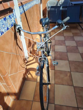 Bicicleta de ciudad mujer negra