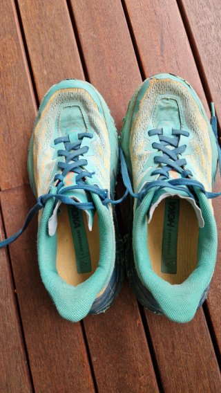 Zapatillas Hoka Speedgoat 6