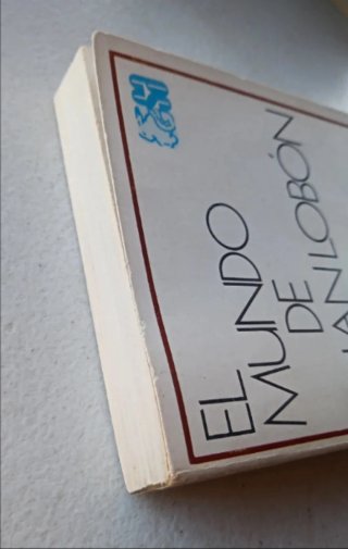 El mundo de Juan Lobón. Luis Berenguer.