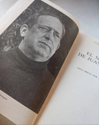 El mundo de Juan Lobón. Luis Berenguer.