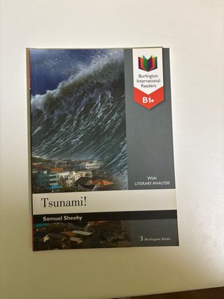PACK DE 4 LIBROS EN INGLES
