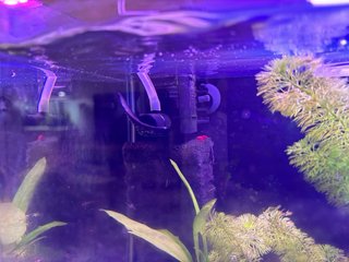 Acuario Betera Gambario 16L