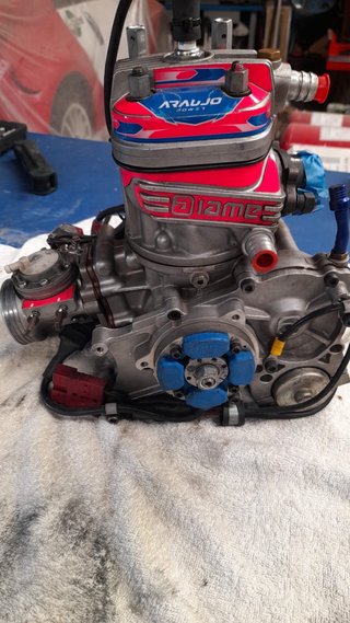 Motor Iame X30 Kart Araujo