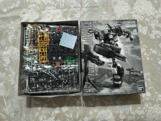 Gundam Dominance MG P Bandai 1/100