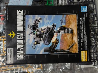 Gundam Dominance MG P Bandai 1/100
