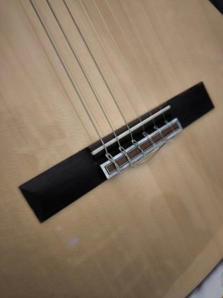 Guitarra Cordoba Fusion 5 Nylon Electro Clásica