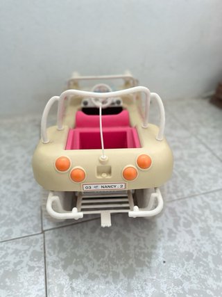 Nancy Buggy Ocean Adventures