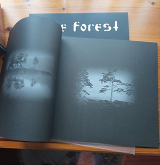 Hate Forest - Hour Of The Centaur (LP)