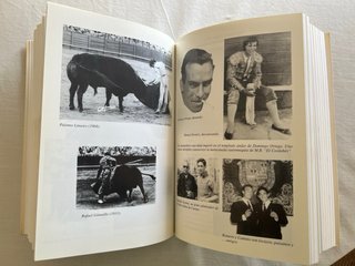 Cien años de toreo en Sevilla, 1900-2000