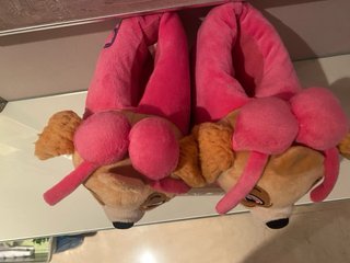 Bata y Pantuflas Nickelodeon Skye Talla 6