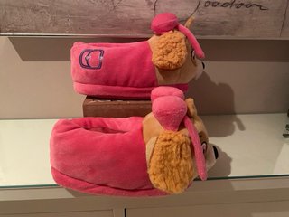 Bata y Pantuflas Nickelodeon Skye Talla 6