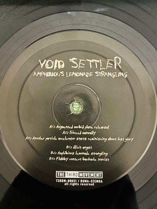 Void Settler, Labyrinth doppio disco LP in vinile