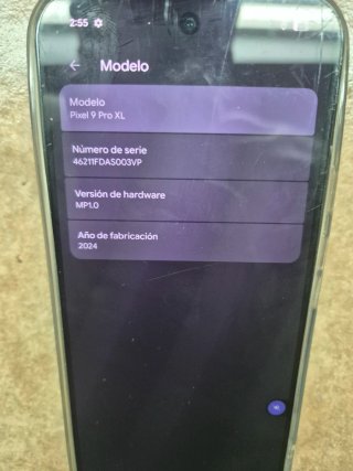 Google Pixel 9 Pro XL Negro