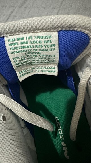 Nike Dunk SB Azul y Verde
