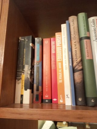 Libros de diferentes autores