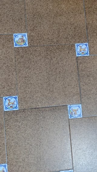 Busco solería de este tipo. Gracias