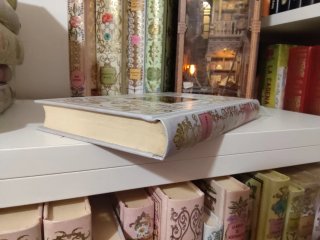 Libro mujercitas