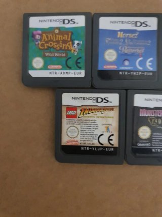 Lottazione di giochi per Nintendo DS e 3DS