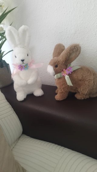 2 coniglietti di peluche decorati
