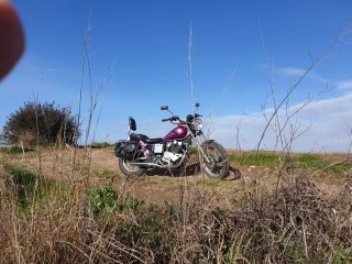 Honda Rebel 125cc Morado