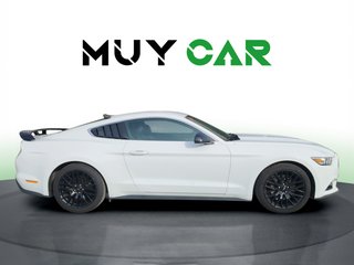 Ford Mustang 2.3 EcoBoost Fastback Auto 231 kW (310 CV)